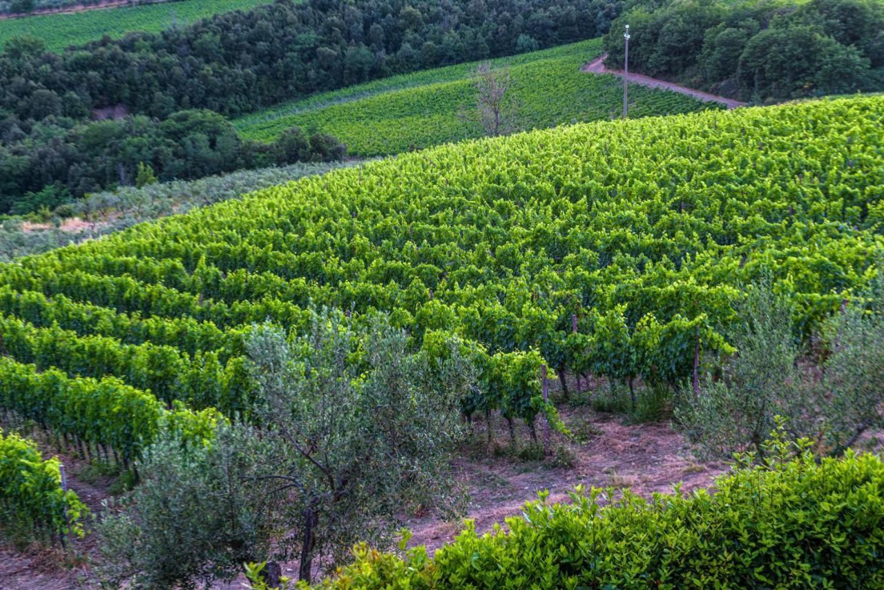 Agriturismo Concadoro Vila Castellina in Chianti Exterior foto